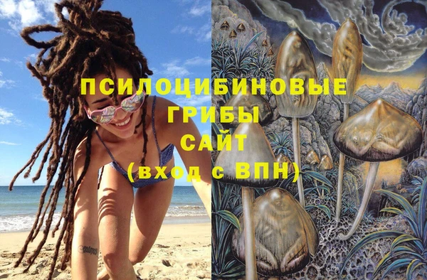 не бодяженный Нязепетровск