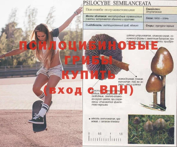 не бодяженный Нязепетровск