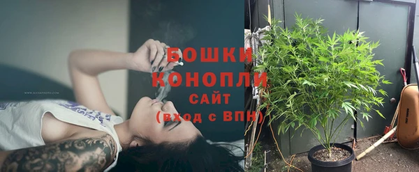 дурь Ветлуга