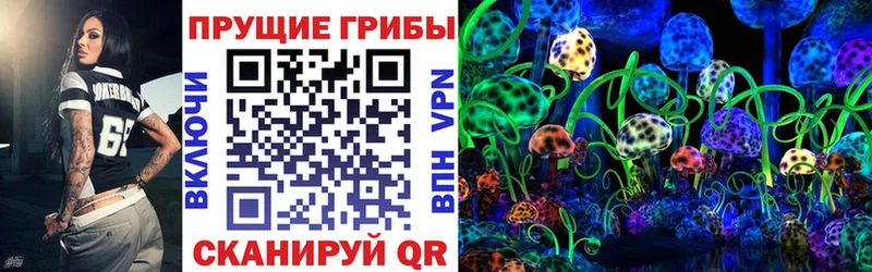 Галлюциногенные грибы Magic Shrooms  как найти закладки  Углегорск 
